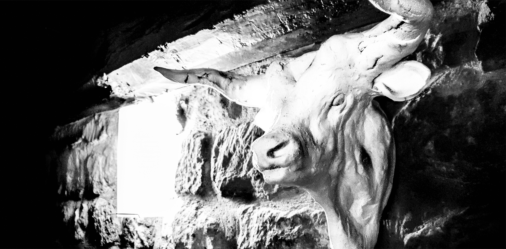 Bulls head sculpture on the wall