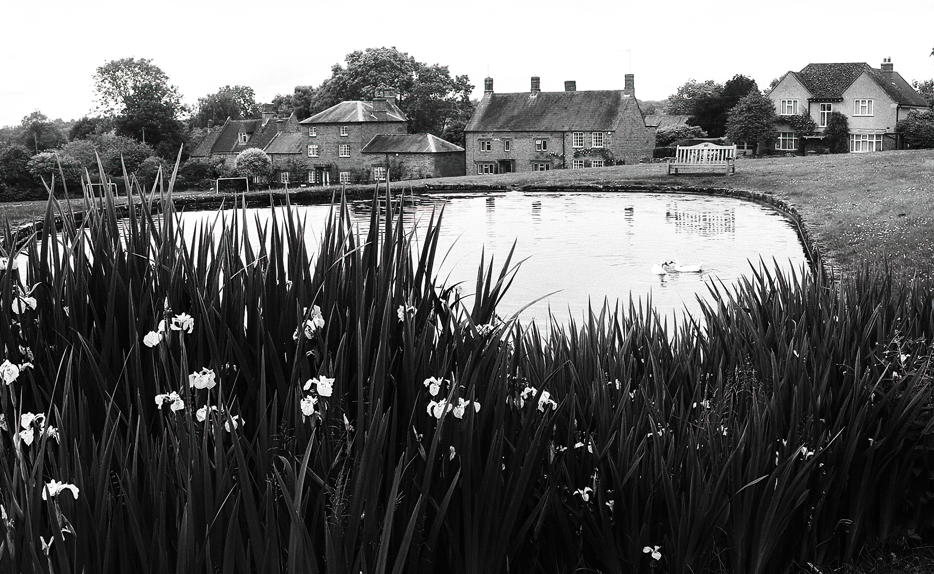 Feed the ducks at the pond overlooking Warmington Village